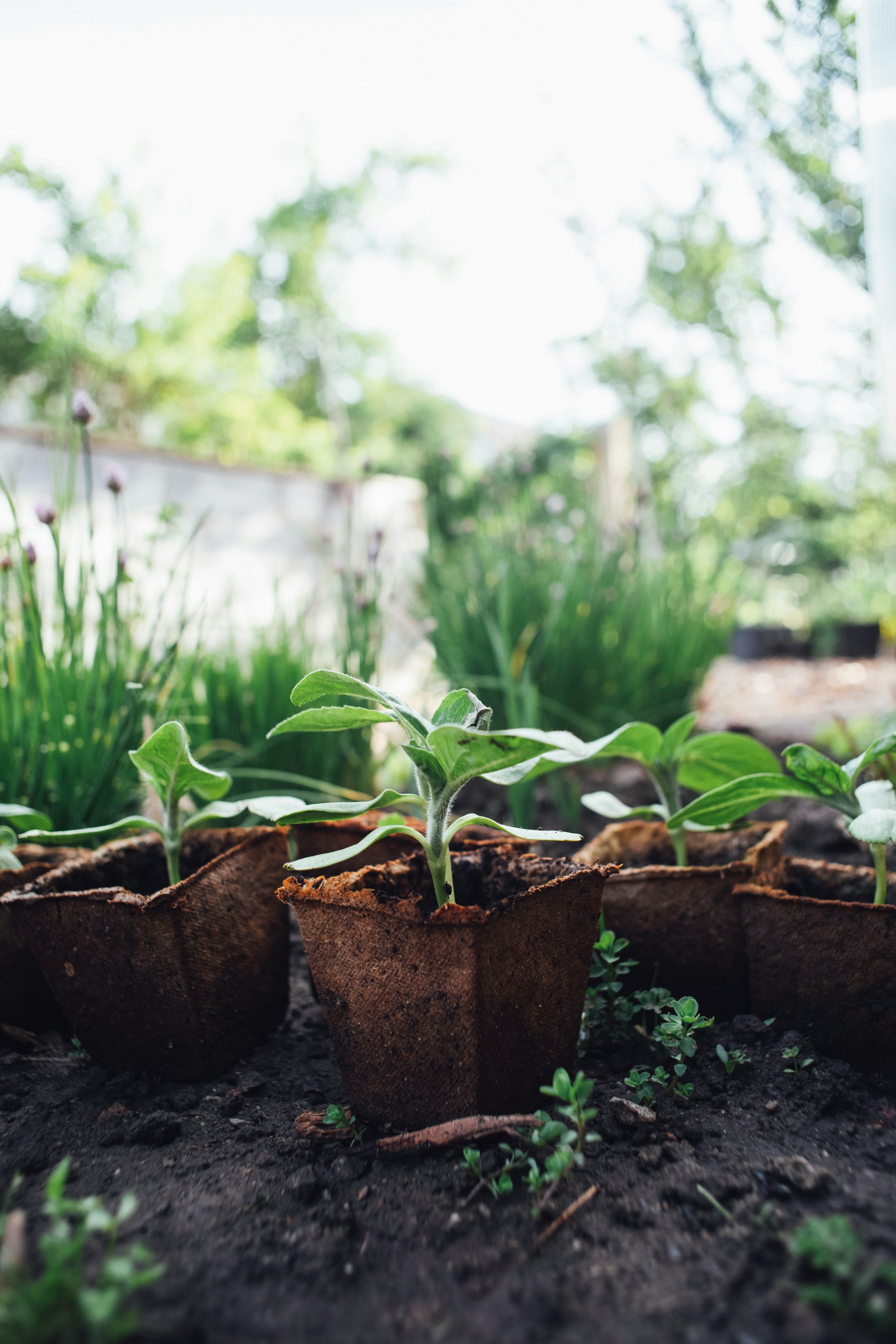 Garden design showcase
